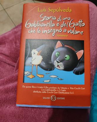 libro  della Gabbianella e il gatto di l. sepulved