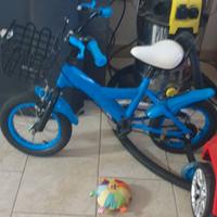 Bicicletta bambino raggio 12