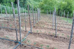 Terreno agricolo gratis