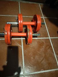 manubri con pesi 