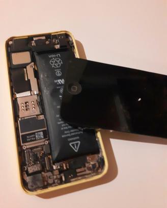 Iphone 5C giallo guasto