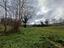 Immagine 15