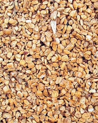 Nocciolino vergine per stufe a pellet