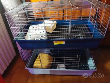 due gabbie con 4 mesi di vita 