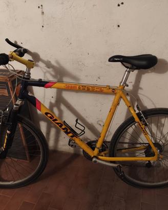 Bicicletta Mountain Bike Giant