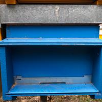 Arnia api 12 telaini