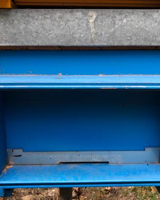 Arnia api 12 telaini