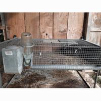 gabbia per conigli,  quaglie...