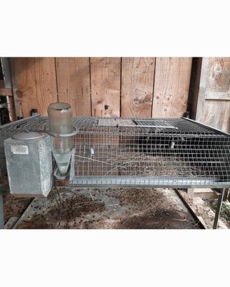 gabbia per conigli,  quaglie...