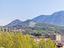 Immagine 25