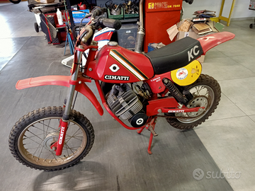 Cimatti Kaiman boy KC