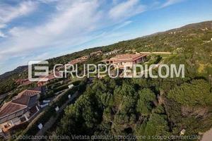 Terreno, Santa Teresa Gallura.