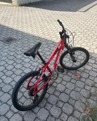 Bici Ducati per ragazzi