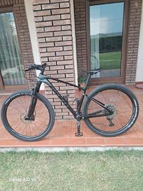 Giant XTC, Advanced 29 3 2021