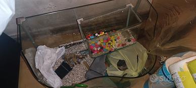 acquario e tartarughiera