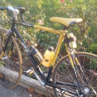 Bicicletta da corsa olmo