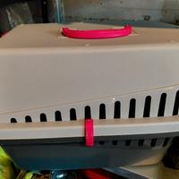 accessori per cane piccola taglia