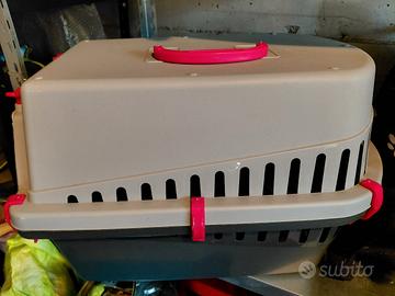 accessori per cane piccola taglia