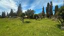 terreno-agricolo-3-ettari