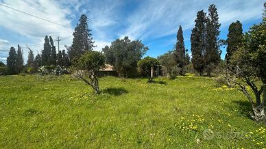 Terreno agricolo 3 ettari