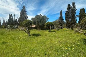 Terreno agricolo 3 ettari