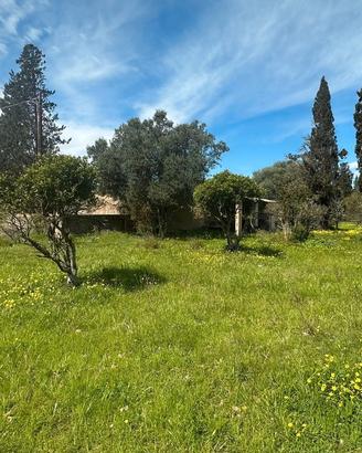 Terreno agricolo 3 ettari