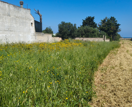 Terreno seminativo vicinanze hotel barion l