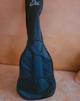Chitarra eko
