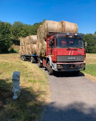 Camion e rimorchio targa gialla