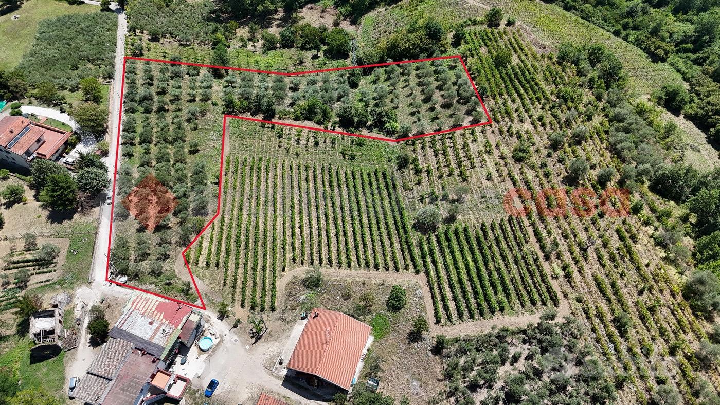 Terreno Agricolo San Martino Valle Caudina - Vista 4