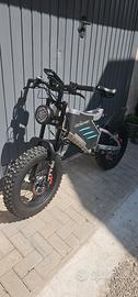 bicicletta elettrica 2000 w