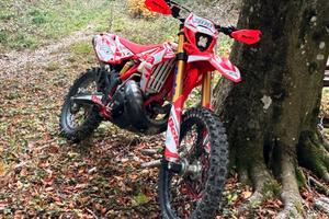 Beta 300