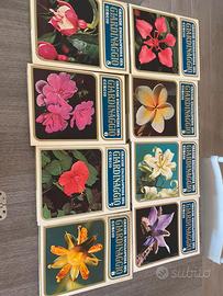 Grande Enciclopedia del Giardinaggio Curcio (1979)
