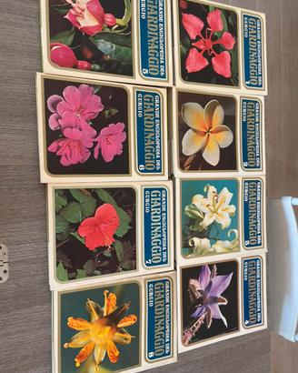 Grande Enciclopedia del Giardinaggio Curcio (1979)