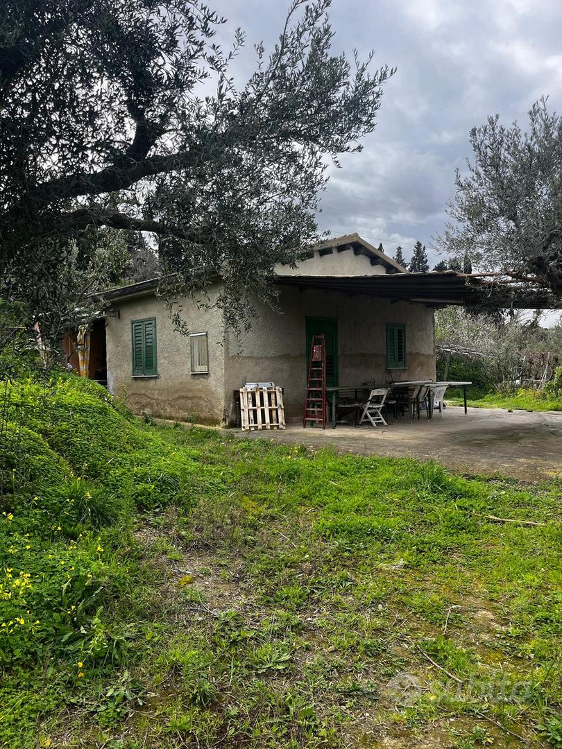 Casa con uliveto - Vista 2