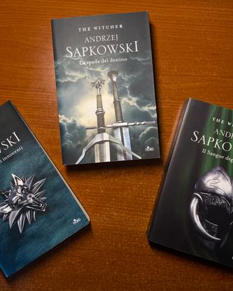 The Witcher - Andrzej Sapkowski
