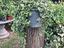 Immagine 4