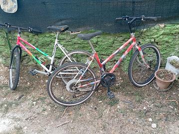 biciclette 