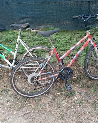 biciclette 