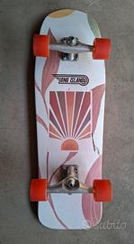 surf skateboard long island sunshine 