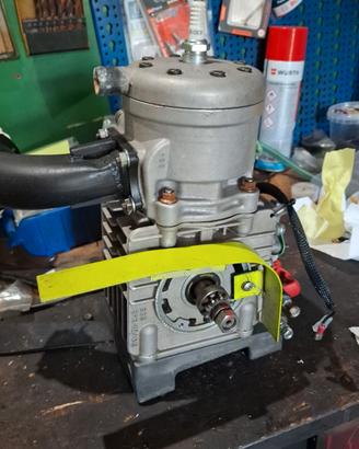 motore kart 100