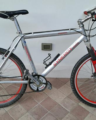 Mountain bike