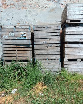bins in legno