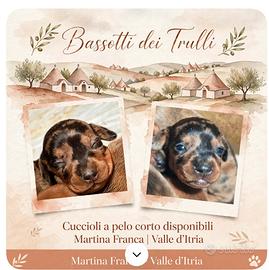 Bassotti