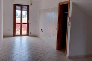 Uta caposchiera pronta consegna