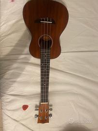 Ukulele Eko