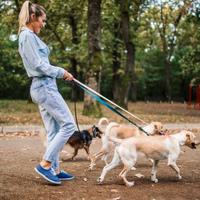 Pulizie,assistenza e compagnia anziani e dogsitter