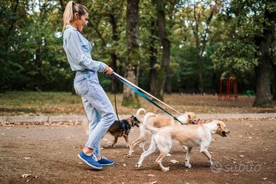 Pulizie,assistenza e compagnia anziani e dogsitter