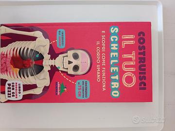 Gioco didattico "Costruisci il tuo scheletro"