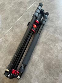 Treppiede fotografico Neewer